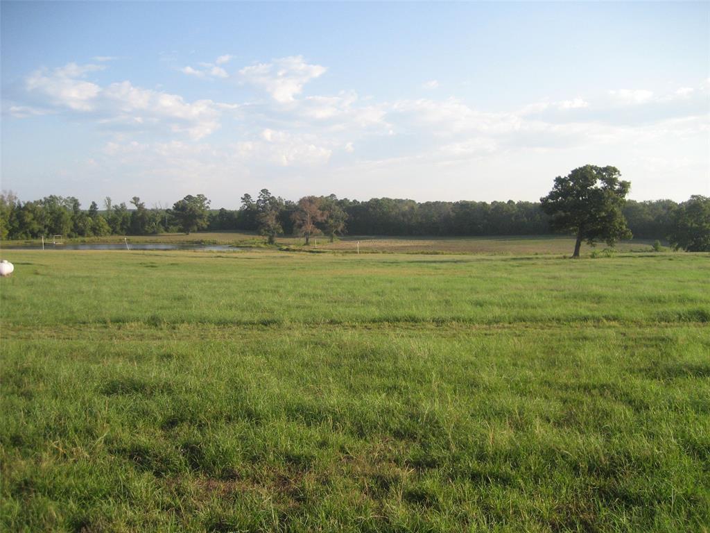 11361 State Highway 21 East, Crockett, Texas image 20