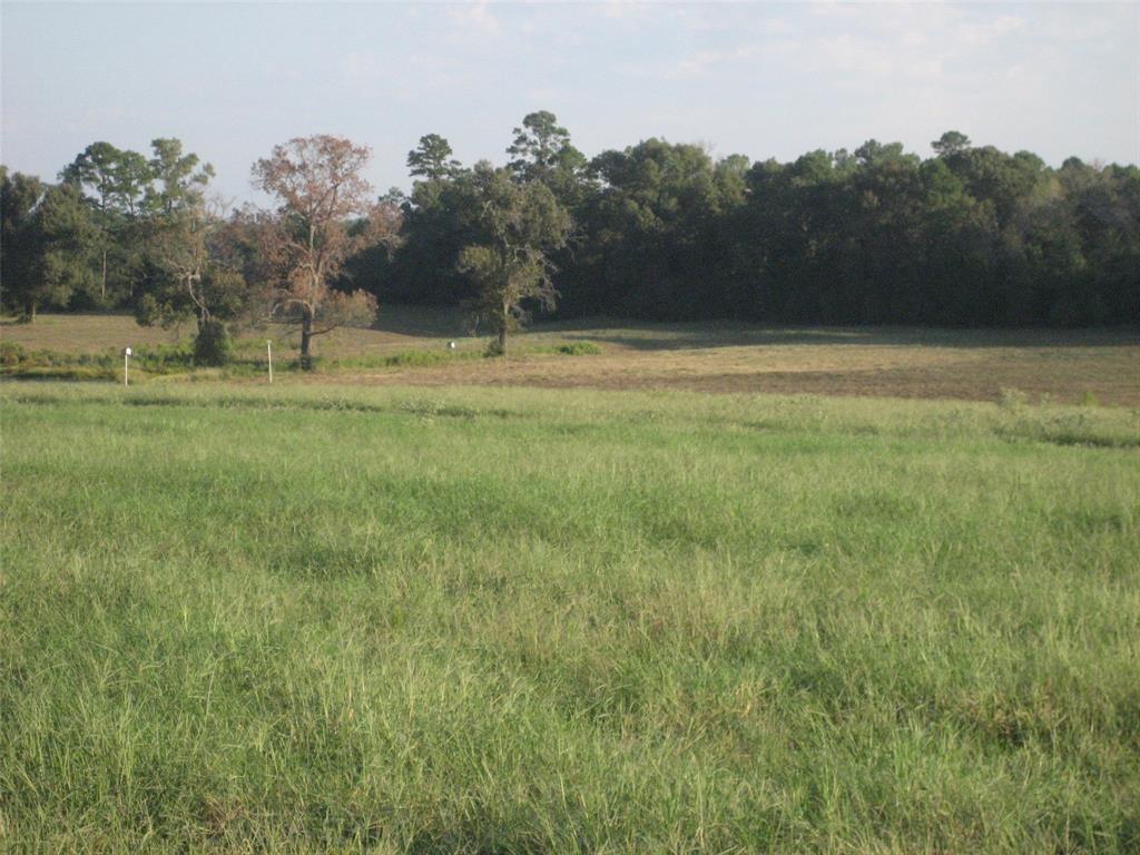 11361 State Highway 21 East, Crockett, Texas image 22