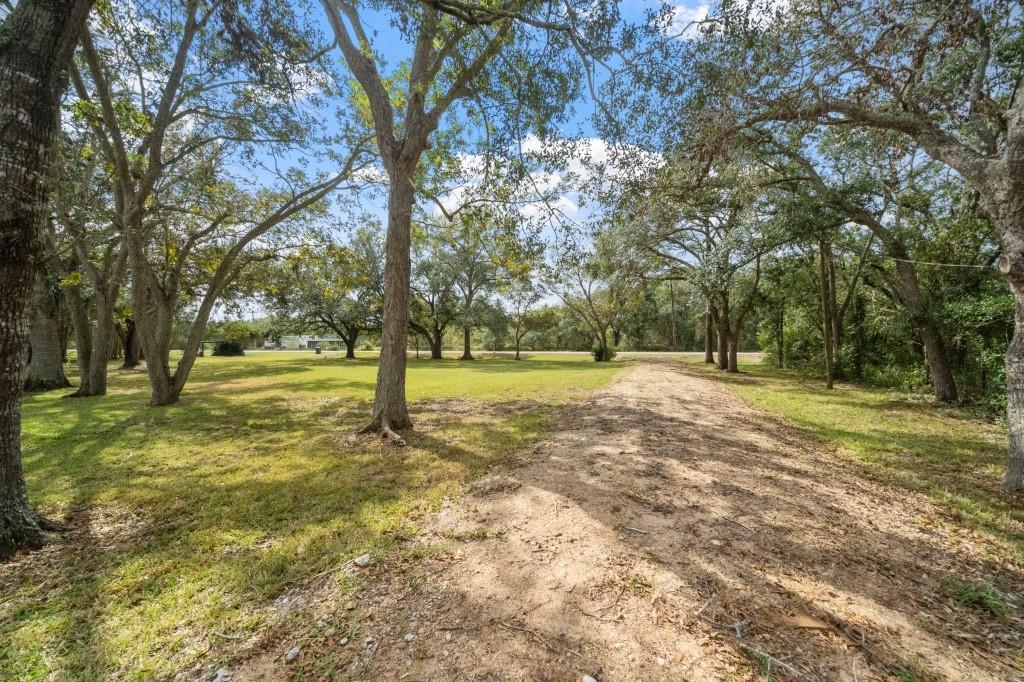 7221 County Road 208, Danbury, Texas image 4