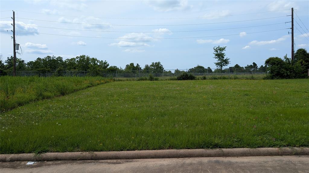 Brook Valley Drive, Brookshire, Texas image 2