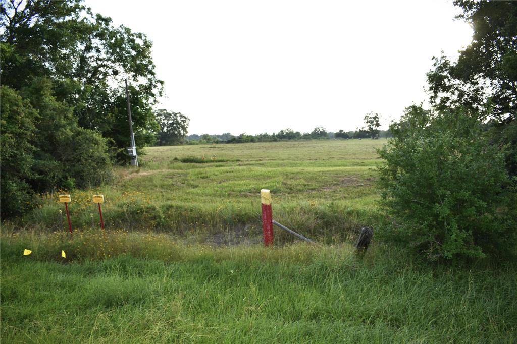 23210 Fm-521, Angleton, Texas image 7