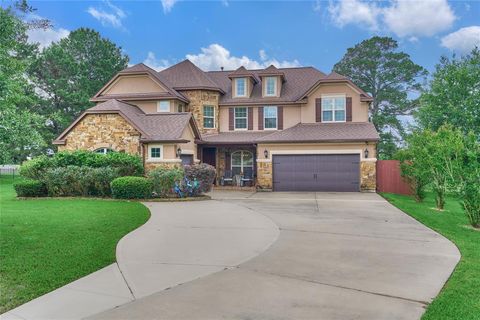 19089 Grandview Point Montgomery TX 77356