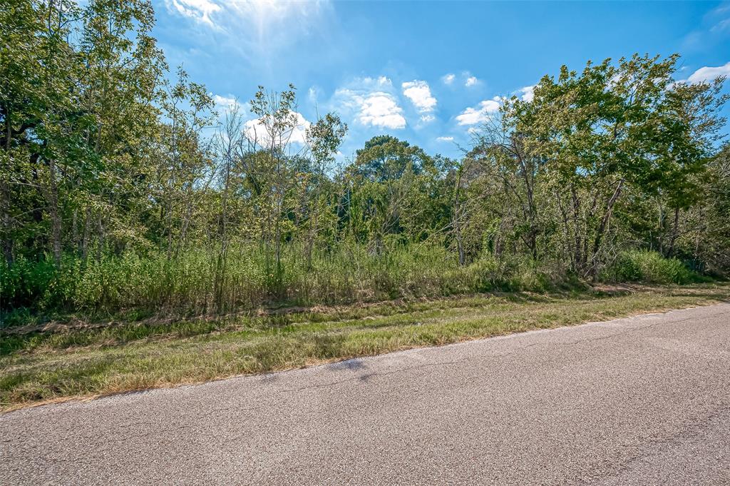 Maxwell Road, Cypress, Texas image 15