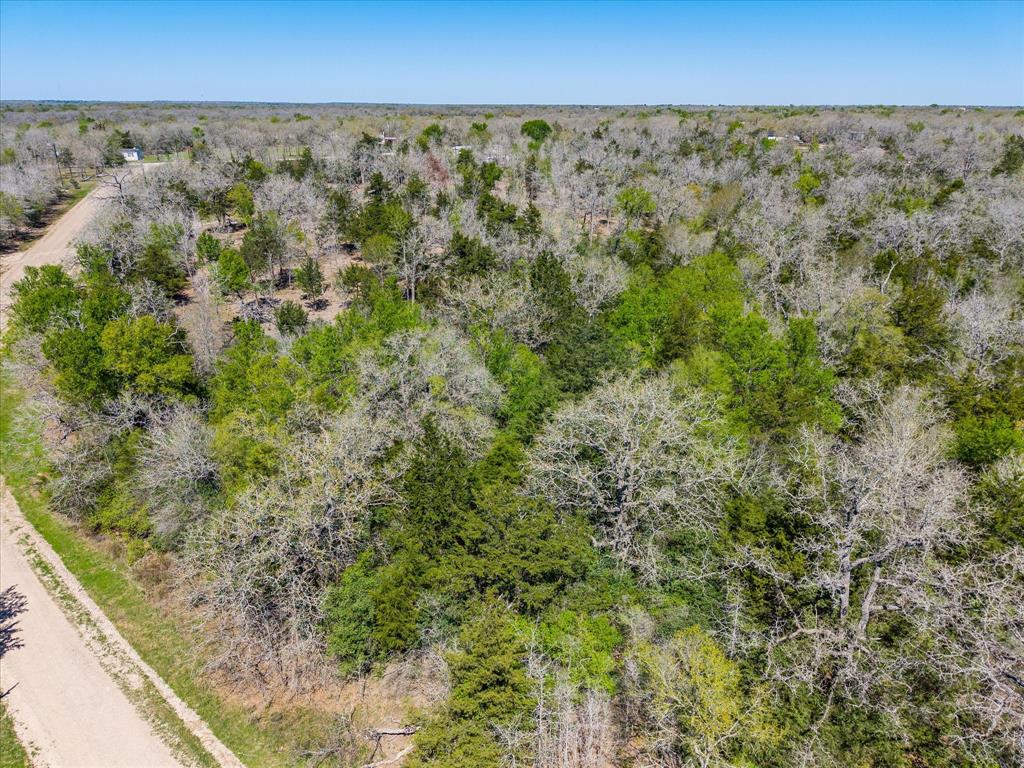 TBD Oak Hollow, Caldwell, Texas image 4