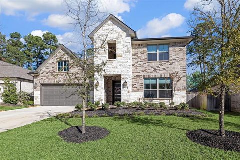164 Gray Pine Grove Way Willis TX 77318