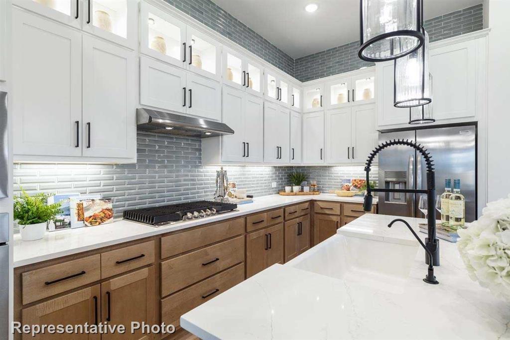 17010 Shine Bright Court