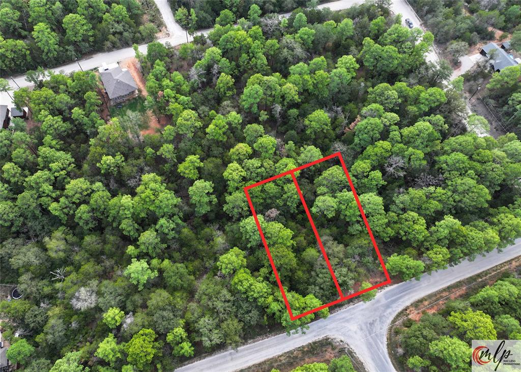 133 Lamaloa Lane, Bastrop, Texas image 1