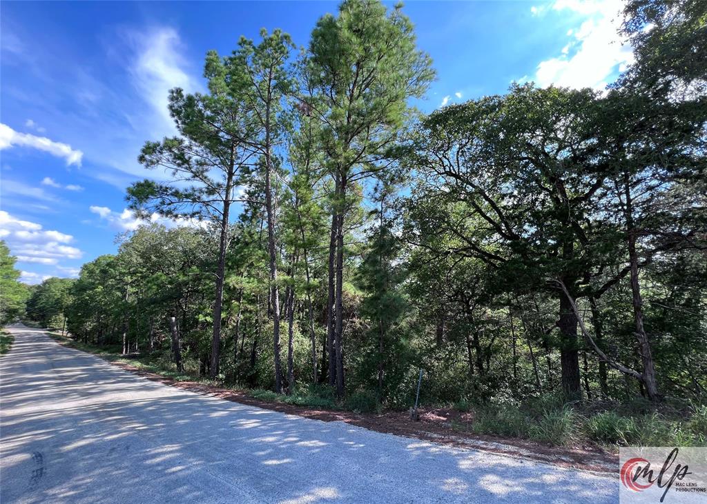 133 Lamaloa Lane, Bastrop, Texas image 3