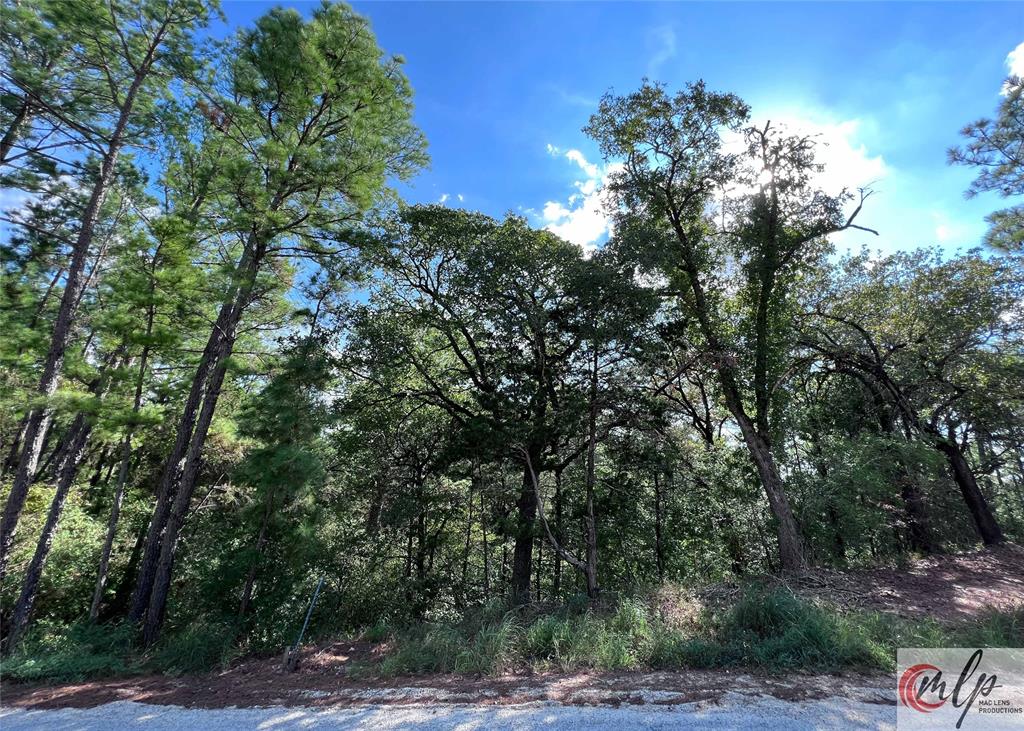 133 Lamaloa Lane, Bastrop, Texas image 4
