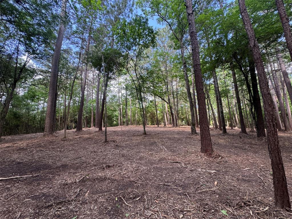 29 & 30-21-9 Windmill Road, Huntsville, Texas image 2