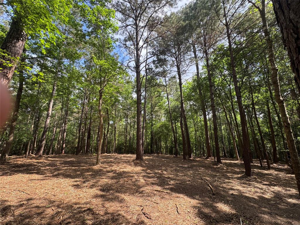 29 & 30-21-9 Windmill Road, Huntsville, Texas image 1
