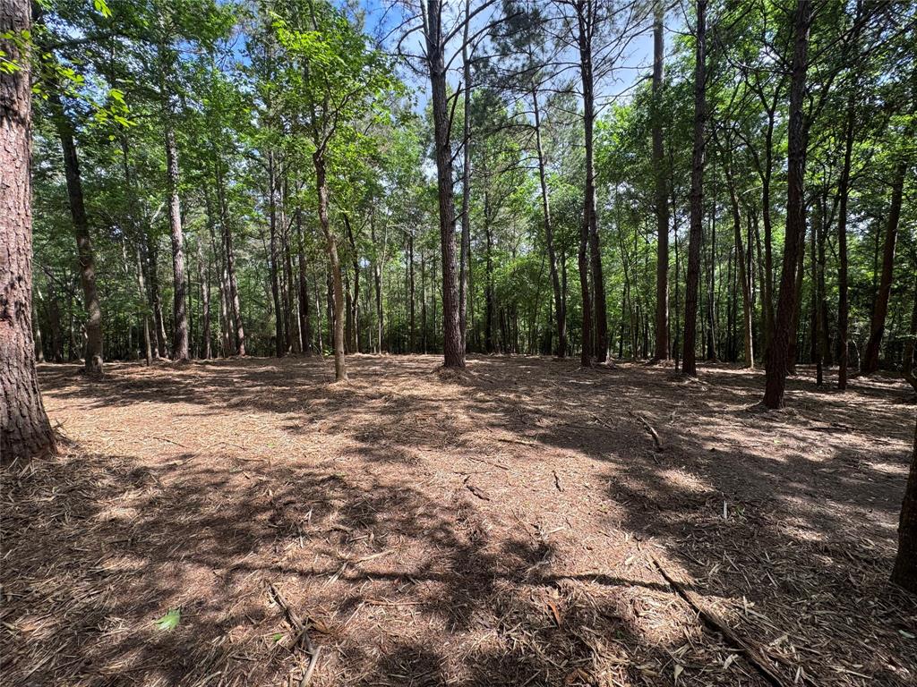 29 & 30-21-9 Windmill Road, Huntsville, Texas image 6