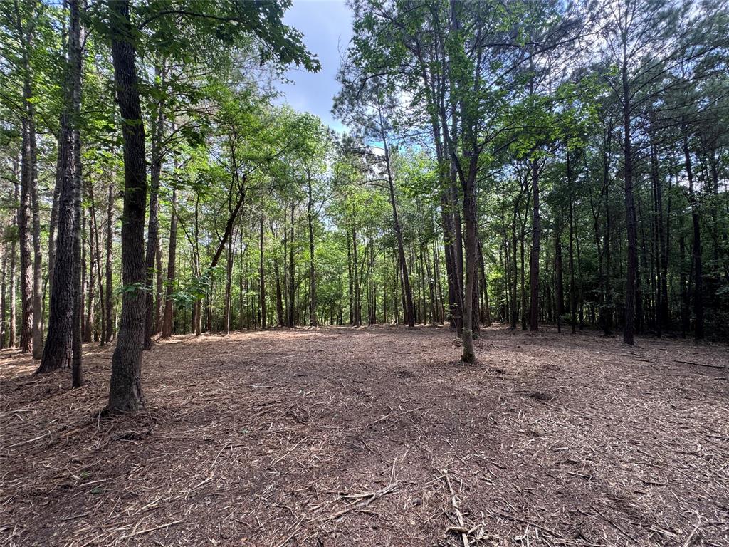 29 & 30-21-9 Windmill Road, Huntsville, Texas image 3