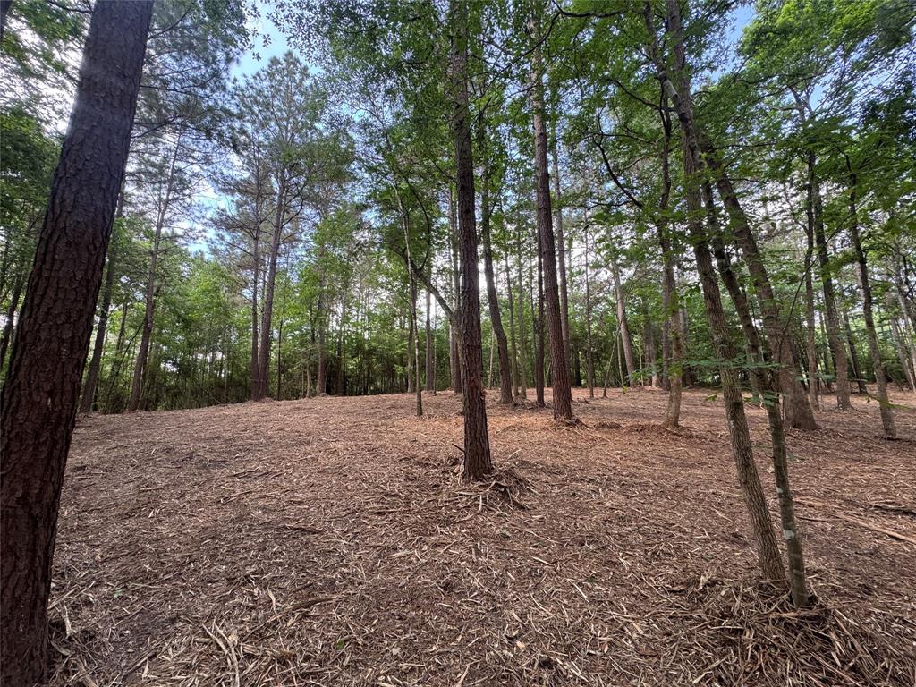 29 & 30-21-9 Windmill Road, Huntsville, Texas image 4