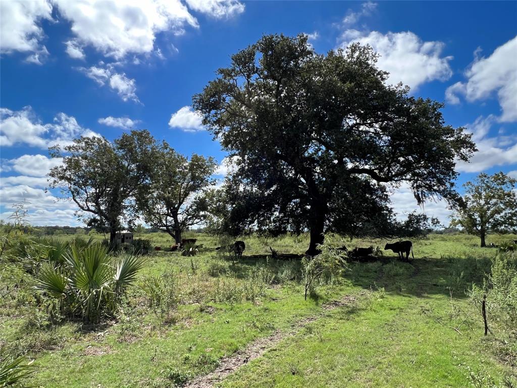 26400 Highway 35, Sweeny, Texas image 6