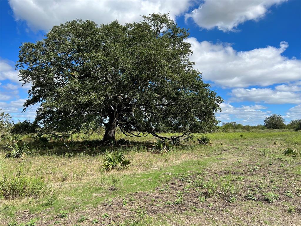 26400 Highway 35, Sweeny, Texas image 9