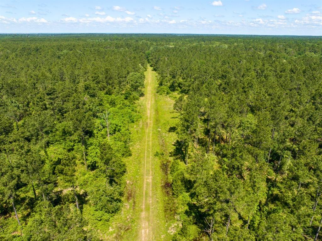 Bo Brown Road, Trinity, Texas image 24