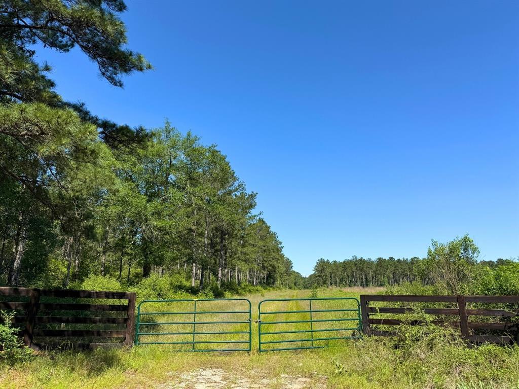 Bo Brown Road, Trinity, Texas image 6