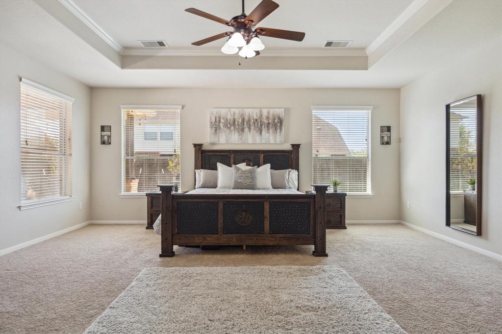 2411 Lakeway Drive, Friendswood, Texas image 20