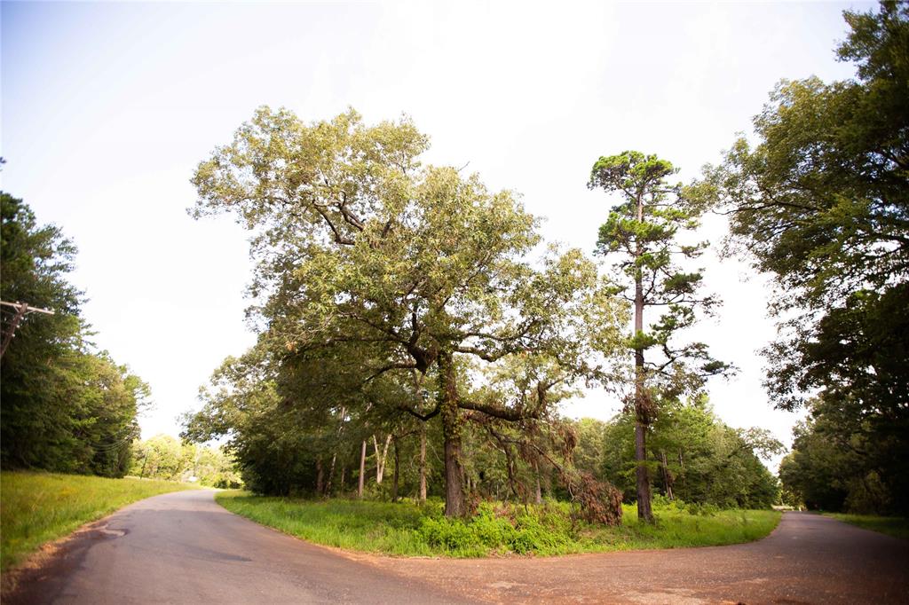 An County Road 185, Elkhart, Texas image 5