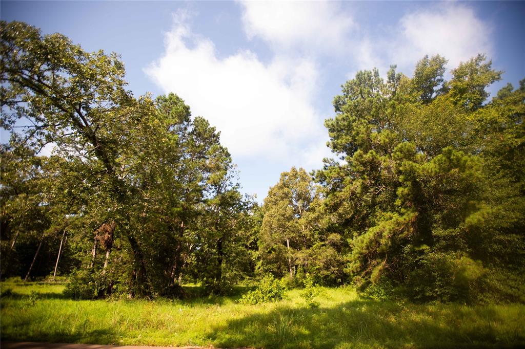 An County Road 185, Elkhart, Texas image 7