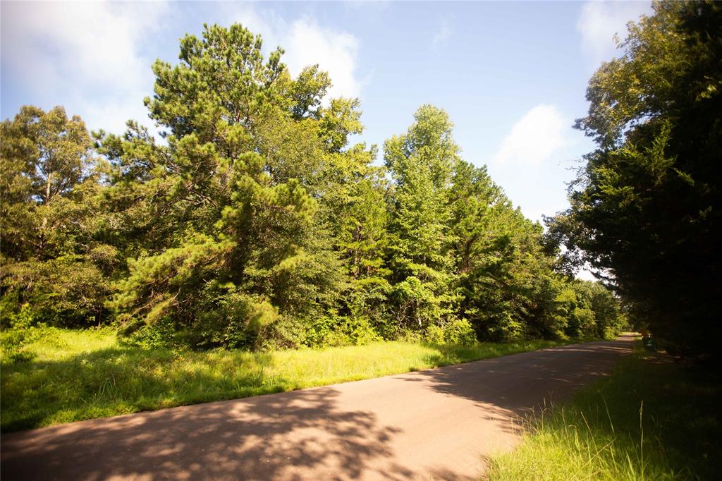 An County Road 185, Elkhart, Texas image 4