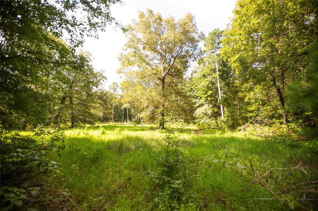 An County Road 185, Elkhart, Texas image 1