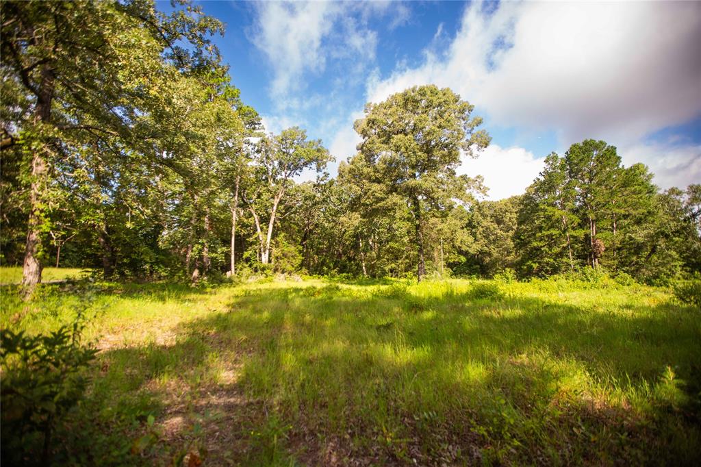 An County Road 185, Elkhart, Texas image 8