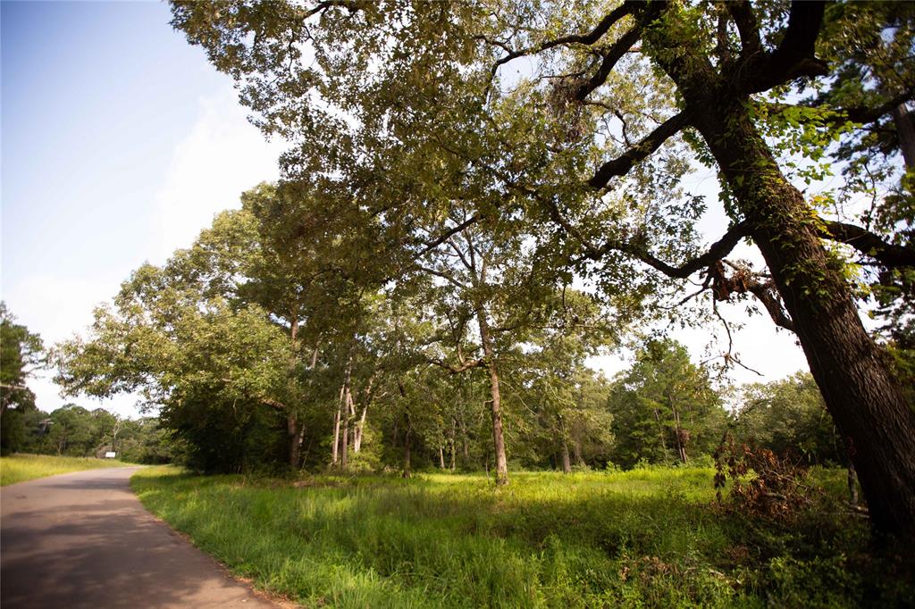 An County Road 185, Elkhart, Texas image 6