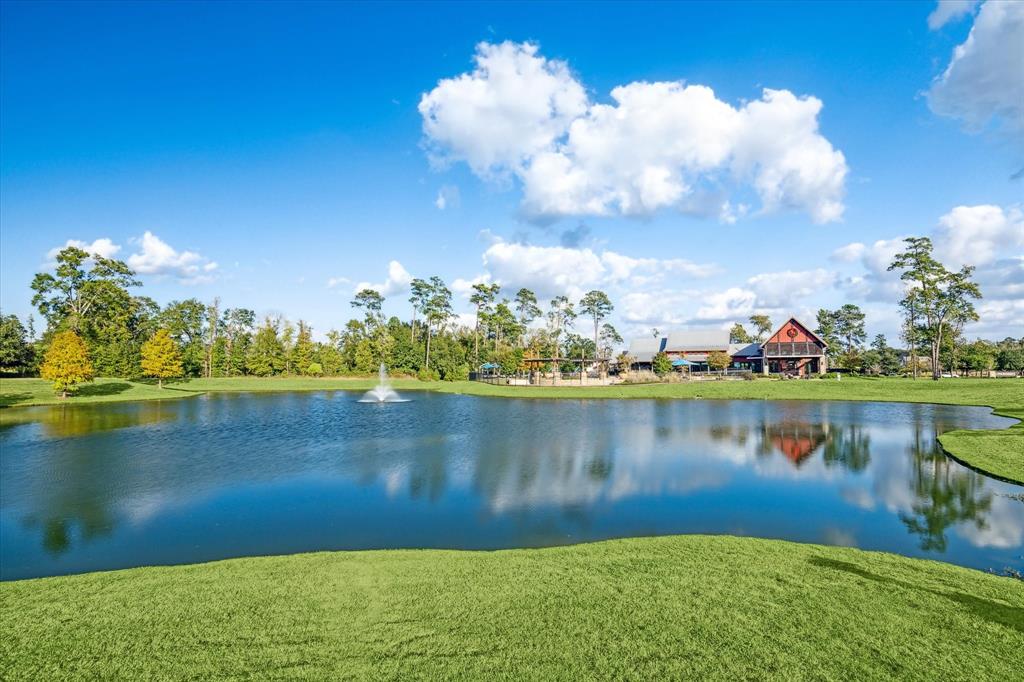 7918 Silver Grove Drive, Magnolia, Texas image 43