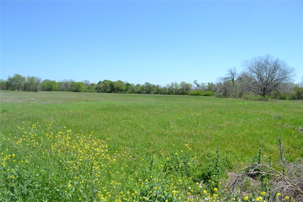 5568 Bleiblerville Road, Bleiblerville, Texas image 12