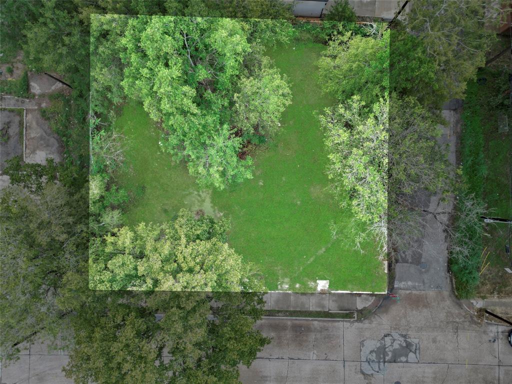 TBD. County Road 825, West Columbia, Texas image 5