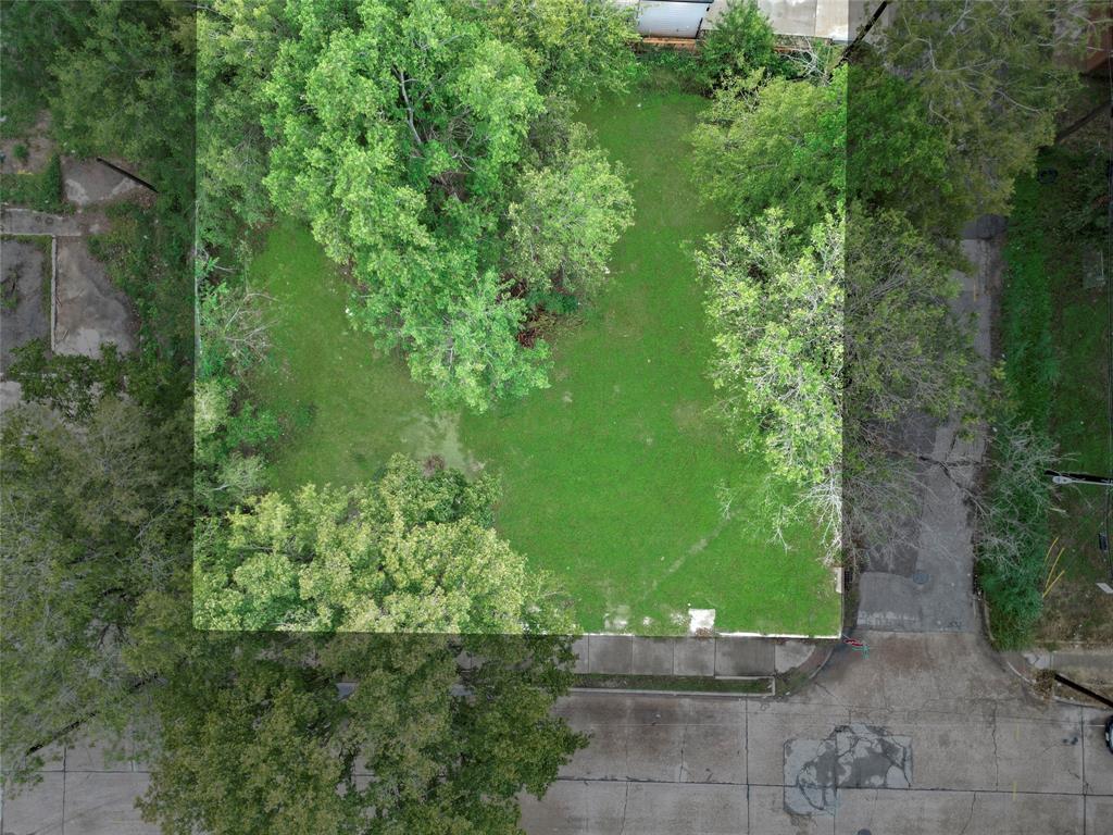 TBD. County Road 825, West Columbia, Texas image 4