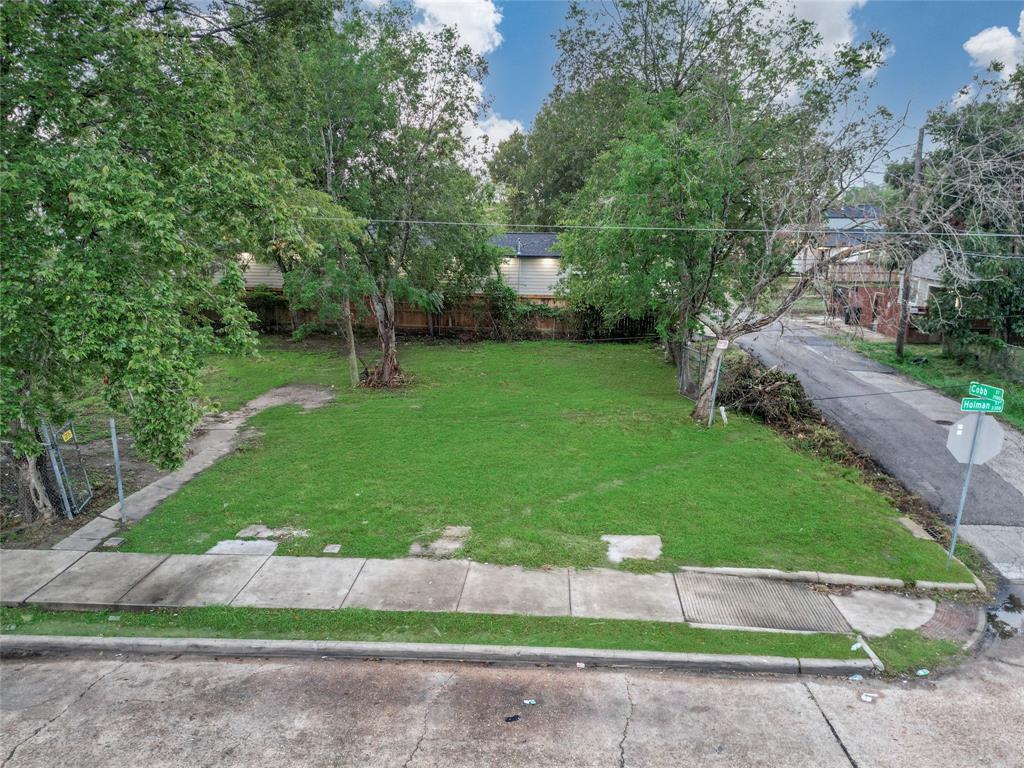 TBD. County Road 825, West Columbia, Texas image 3
