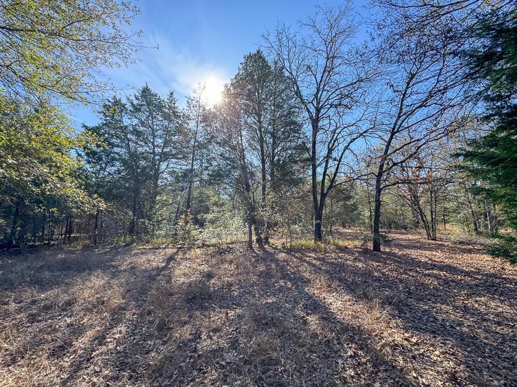 Fm 488, Streetman, Texas image 32