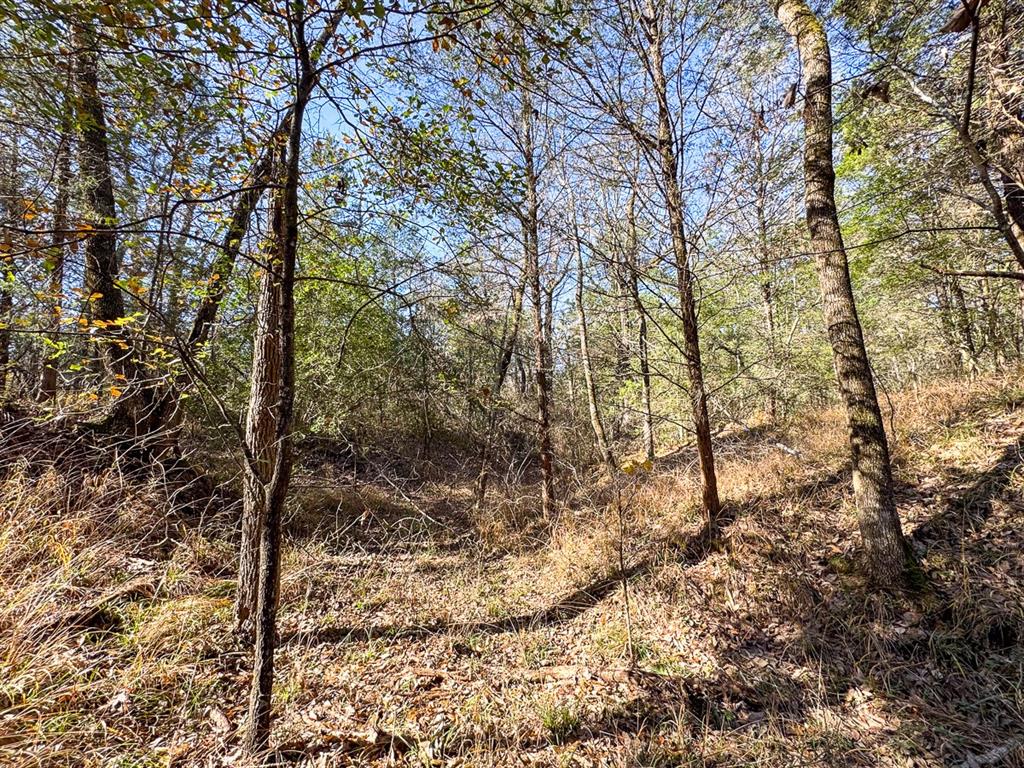 Fm 488, Streetman, Texas image 38