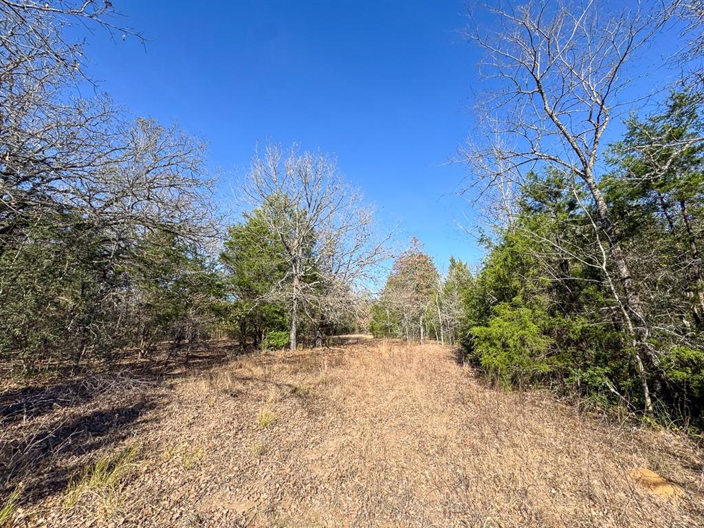 Fm 488, Streetman, Texas image 36