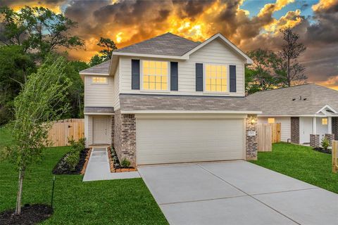 17821 Lionheart Road, Conroe, TX 77306 - #: 10049985