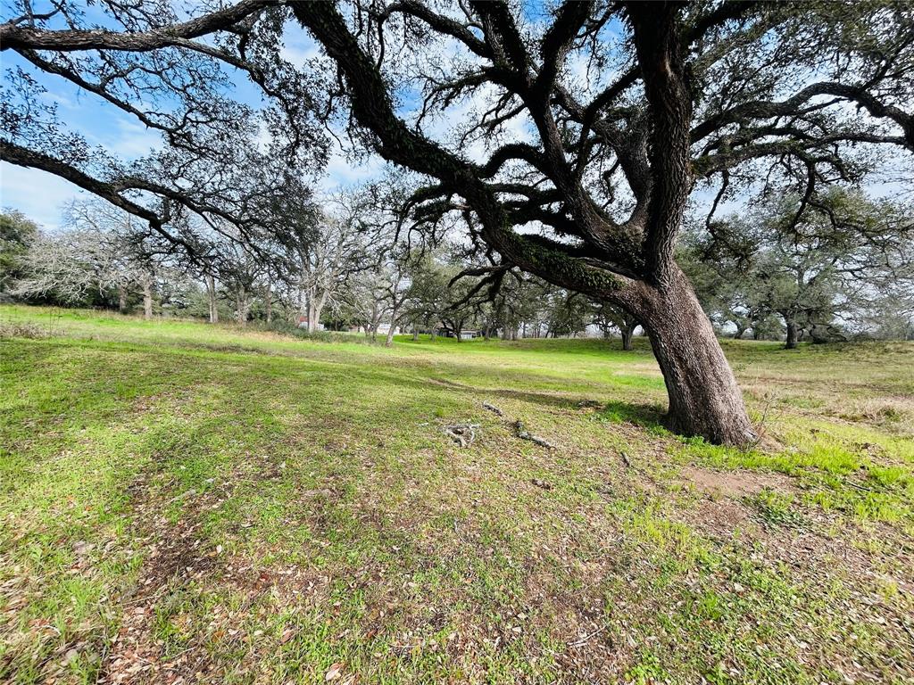 1030 Ramsey Road, Alleyton, Texas image 16