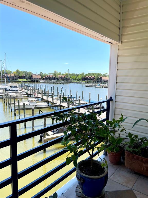793 Davis Road #113, League City, Texas image 24