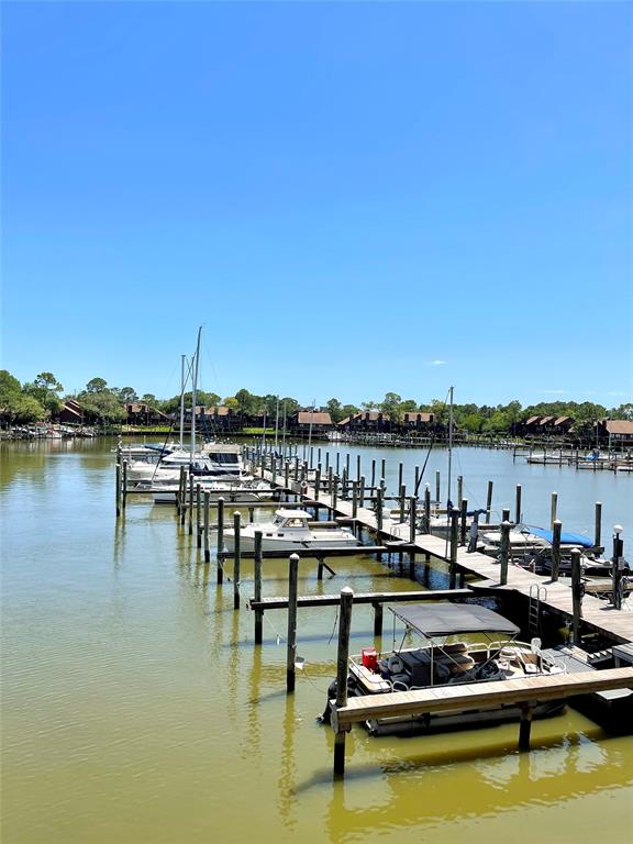 793 Davis Road #113, League City, Texas image 25