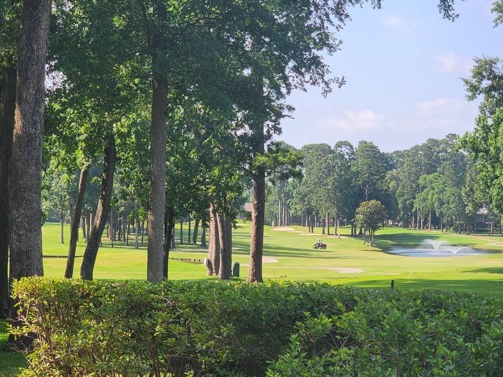 12900 Walden Road #715G, Montgomery, Texas image 40