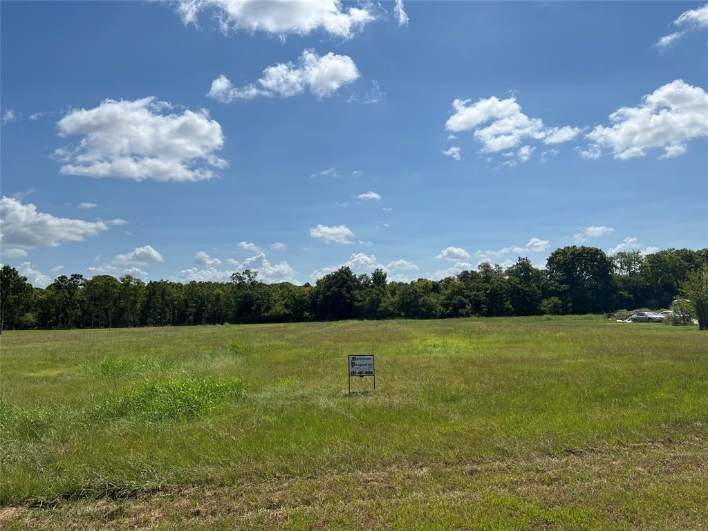 County Road 42, Rosharon, Texas image 5