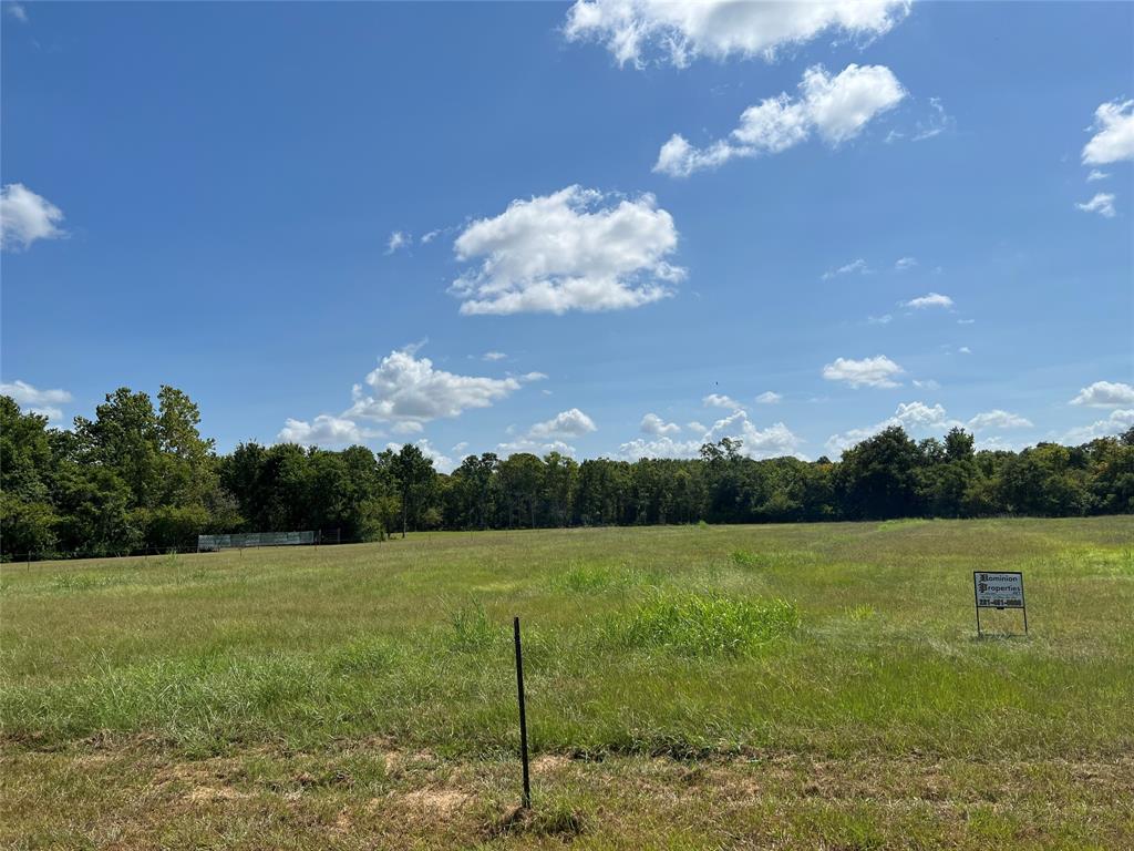 County Road 42, Rosharon, Texas image 4