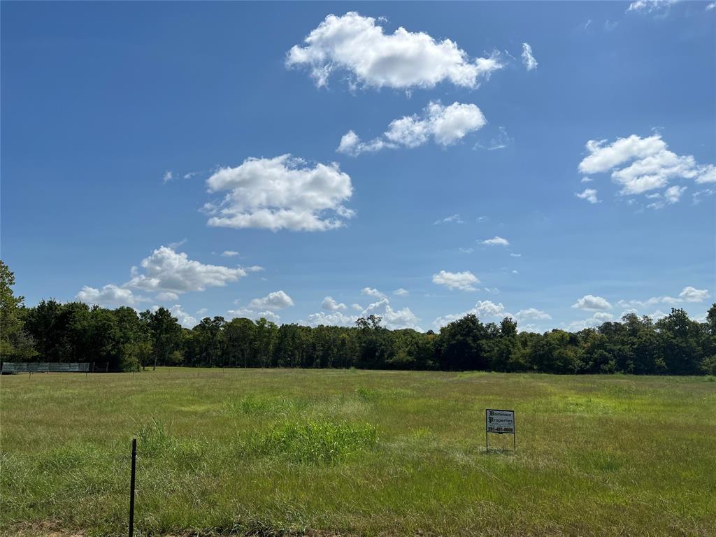 County Road 42, Rosharon, Texas image 1