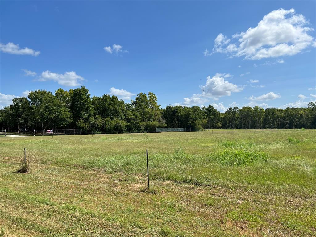 County Road 42, Rosharon, Texas image 3