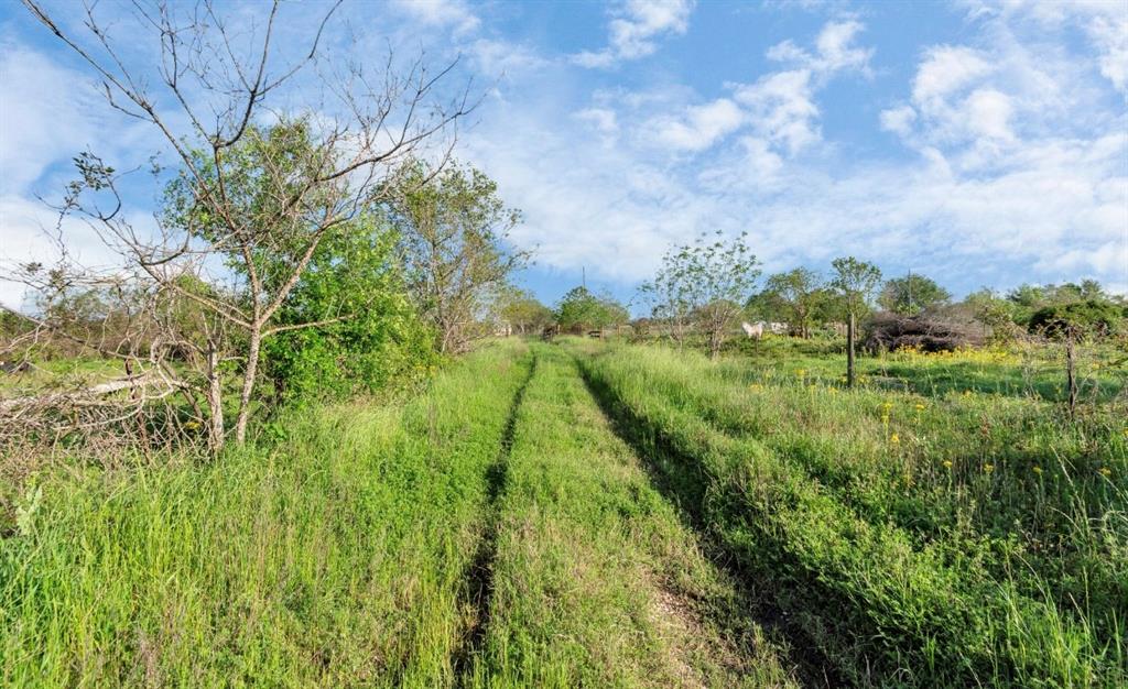 651 Gebhardt Rd, Sealy, Texas image 7