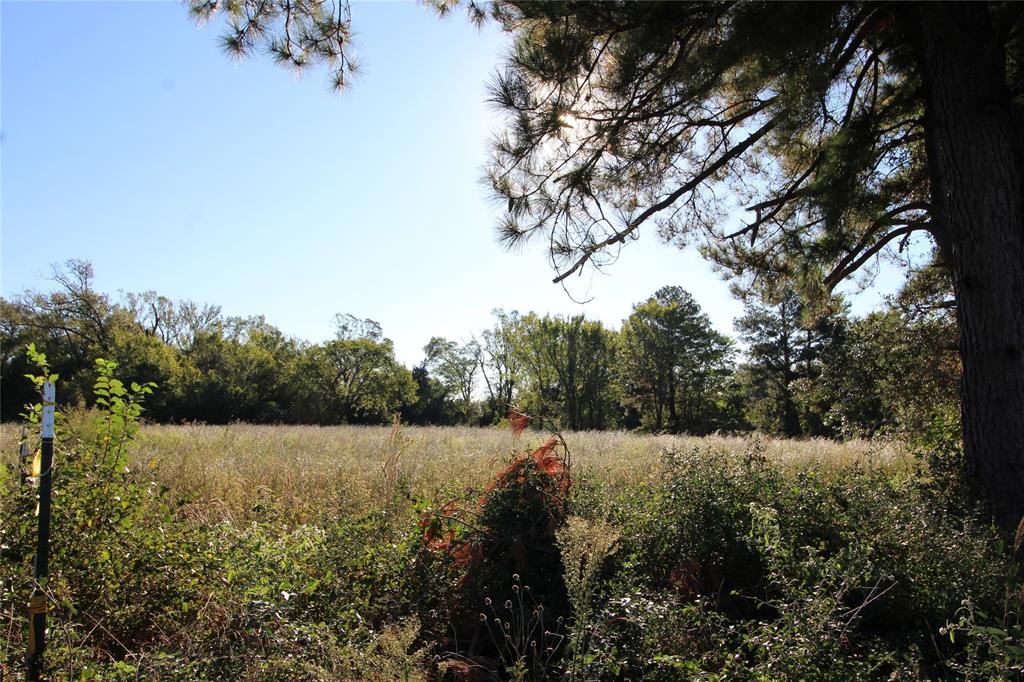 TBD Lot 10 And 11 Fm 645, Tennessee Colony, Texas image 9