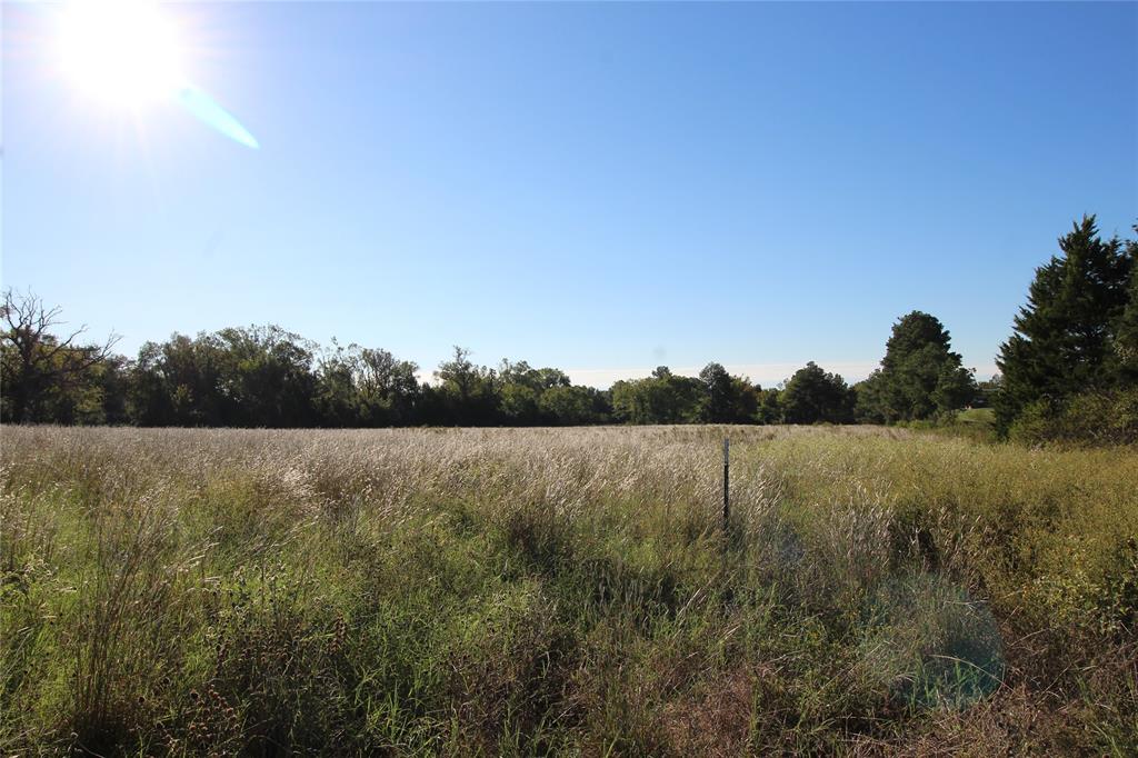 TBD Lot 10 And 11 Fm 645, Tennessee Colony, Texas image 13