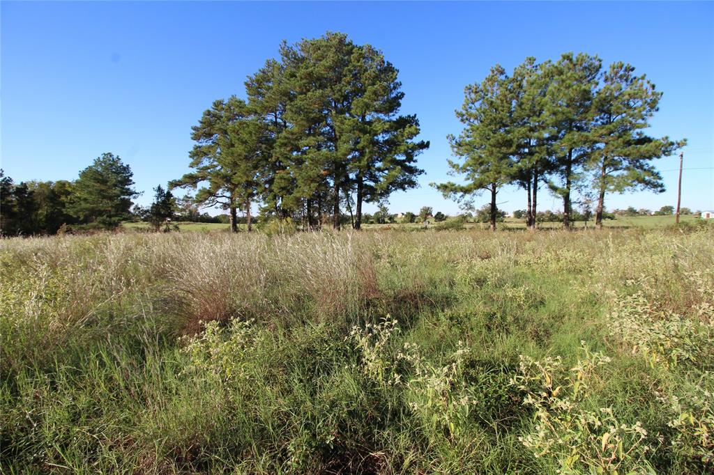 TBD Lot 10 And 11 Fm 645, Tennessee Colony, Texas image 1